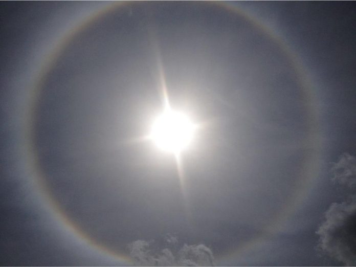 Oliver’s Halo