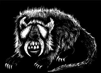 Sheepsquatch
