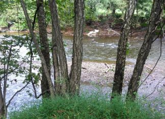 Madison Haunting Madison Haunting