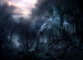 When The Trees Fade When The Trees Fade