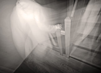 The Nightly Visitor