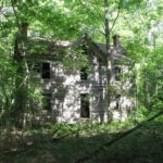 The Dead House