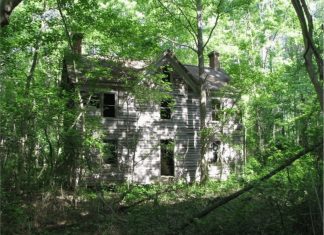 The Dead House