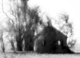 The House in the Field