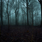 Creepy Woods