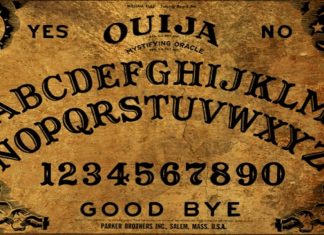 Amateur Hunters Find What They Are Looking For! Amateur Hunters Find What They Are Looking For!