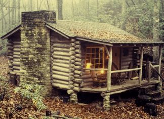 Beyond The Cabin Door Beyond The Cabin Door
