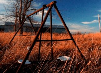 Our Playmate Our Playmate