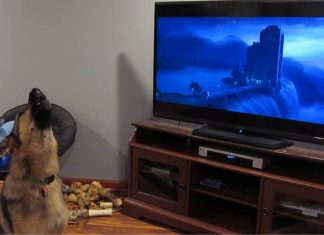 The House Next Door The House Next Door