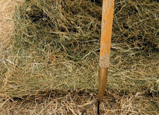 The House On Tuppers Creek Road The House On Tuppers Creek Road