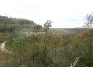 The Last Stop The Last Stop