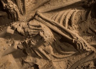 The Mass Grave