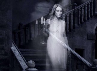 The Woman In The Hallway The Woman In The Hallway