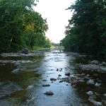 The Creek Beds