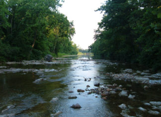 The Creek Beds