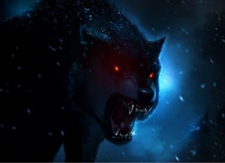 Beast in the Night!!!!