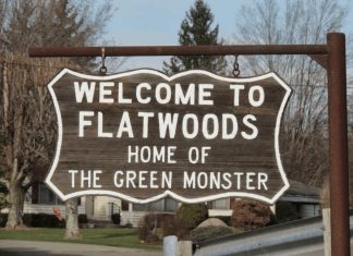 Braxton County Green Monster