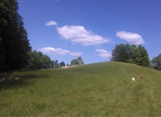 Calhoun