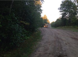 Early Morning School Bus Stop Scare 2