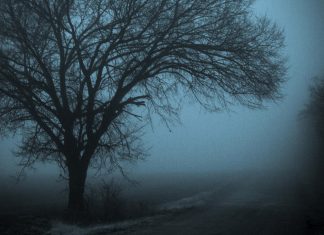 Early Morning School Bus Stop Scare In Milton