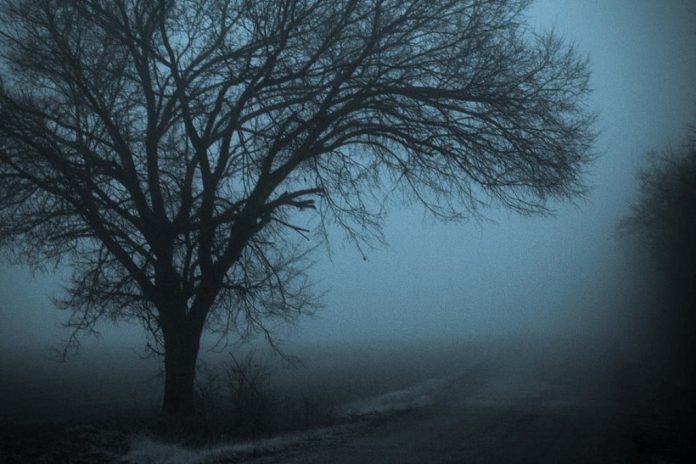Early Morning School Bus Stop Scare In Milton