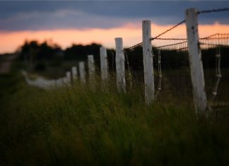 Fence Row Stand-Up Man