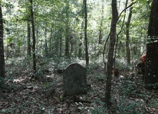 Haunted New House Haunted New House