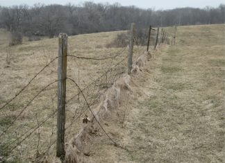 Hauntings Of Pentress Hauntings Of Pentress