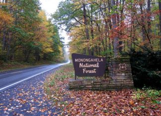 Monongahela National Forest