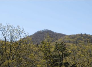 North Mountain Lights