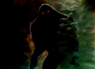 The Red Eyes