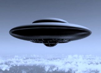 UFO In Flatwoods