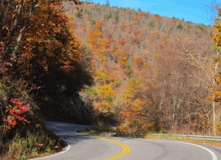 Couple Discovers Bigfoot while Driving in West Virginia