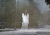The Bride Ghost