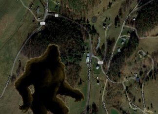 Bigfoot Sighting