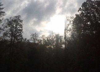 The Lantern Ghost The Lantern Ghost