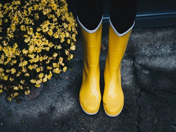 Yellow Boots