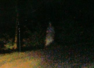 Ghost Solider